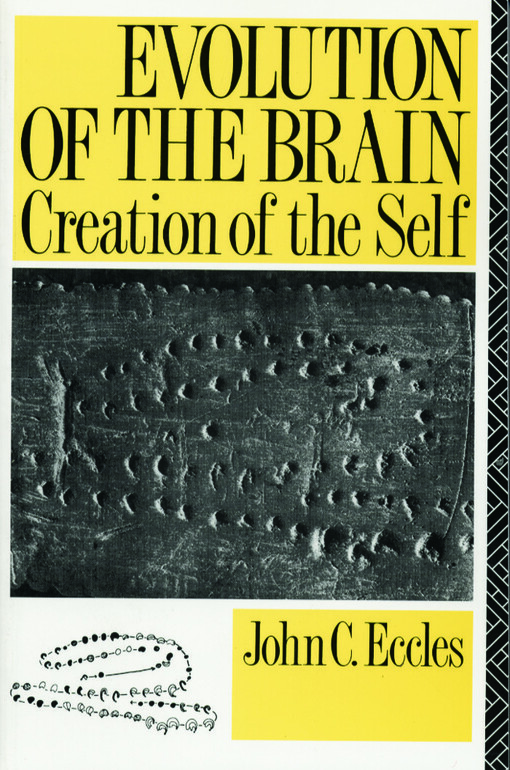 Evolution of the Brain : creation of the self