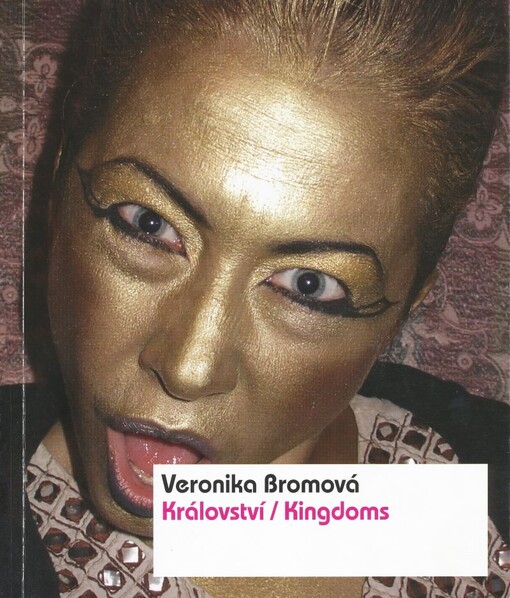 Veronika Bromová : království = kingdoms : [Dům u Kamenného zvonu, 30.10.2008-11.1.2009
