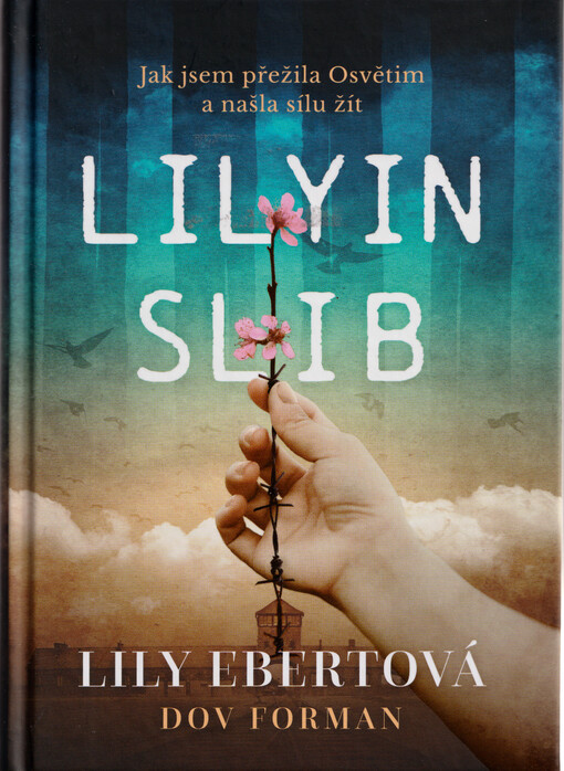 Lilyin slib