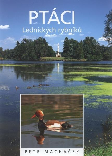 Ptáci Lednických rybníků