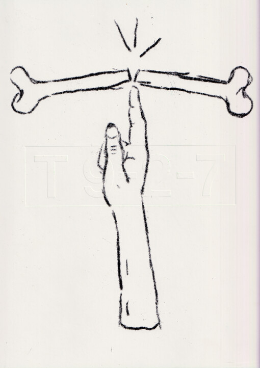 T 9-2-7 : jednota v rozmanitosti = unity in diversity