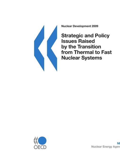 Strategic and policy issues raised by the transition from thermal to fast nuclear systems