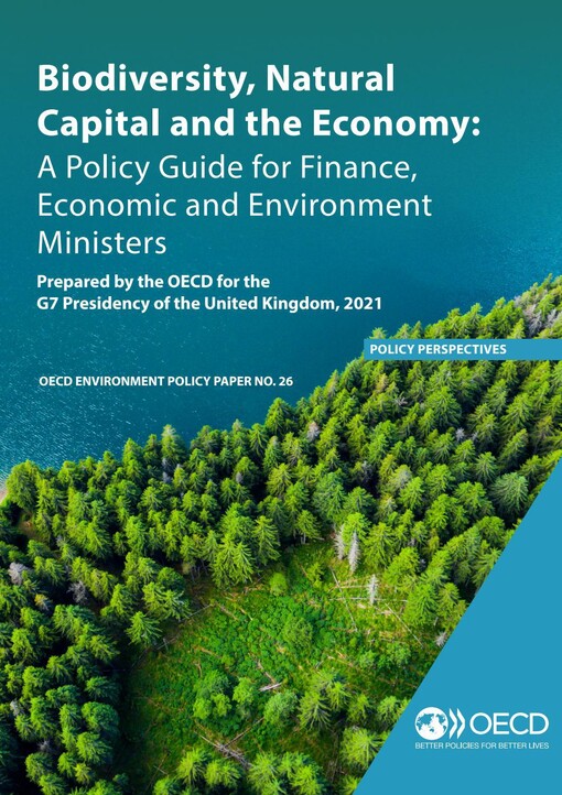 Economic Instruments for Environmental Management in Developing Countries: Proceedings of a Workshop Held at Oecd Headquarters in Paris on 8 October (Oecd Documents)