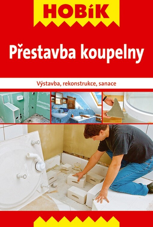 Přestavba koupelny : výstavba, rekonstrukce, sanace