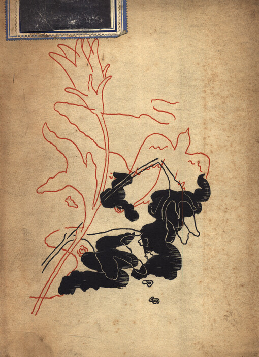 Vzpomínky z nemocnice a praxe