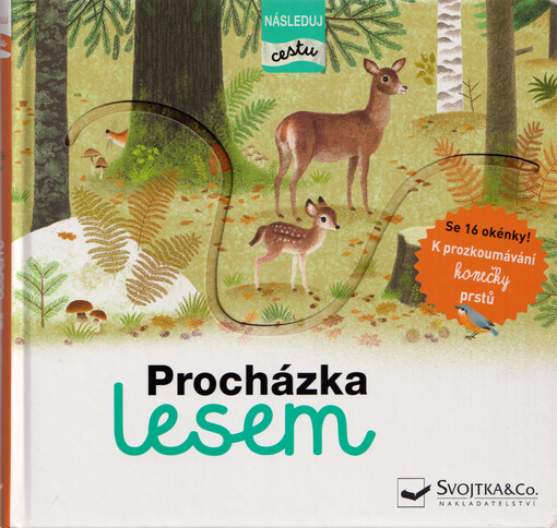 Procházka lesem