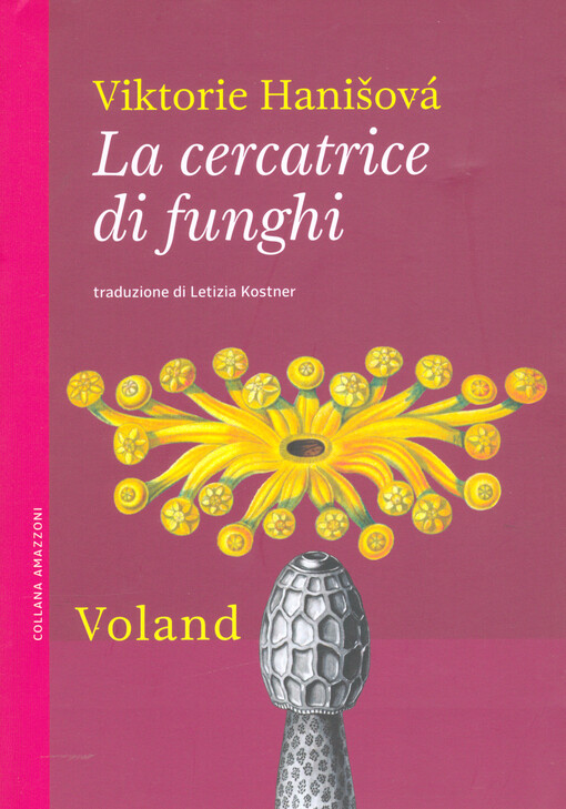 La cercatrice di funghi