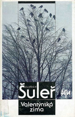 Valentýnská zima.