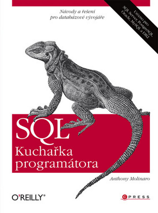 SQL: kuchařka programátora