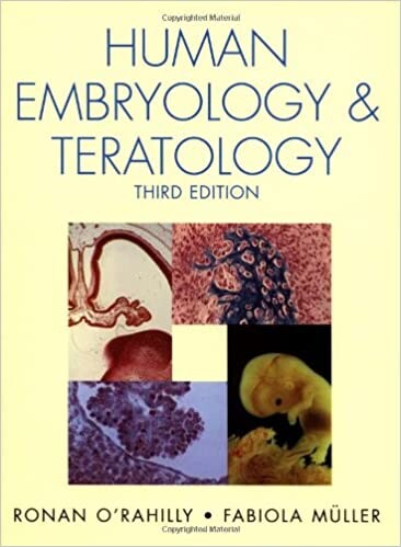 Human Embryology & Teratology, 3rd Edition