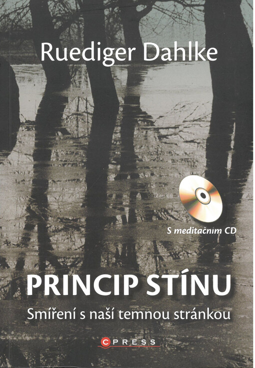 Princip stínu : smíření s naší temnou stránkou