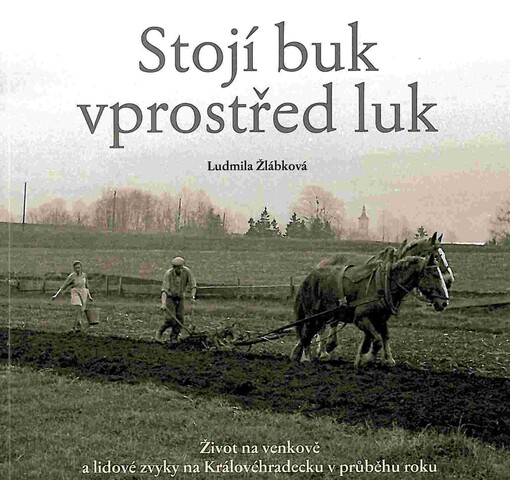 Stojí buk vprostřed luk : život na venkově a lidové zvyky na Královéhradecku v průběhu roku