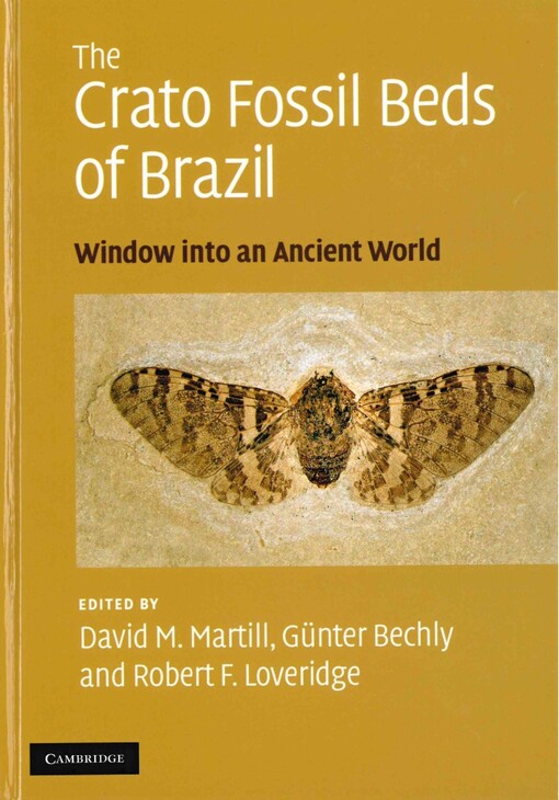 The Crato fossil beds of Brazil