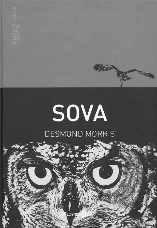 Sova Desmond Morris ; překlad: Vendula Davidová