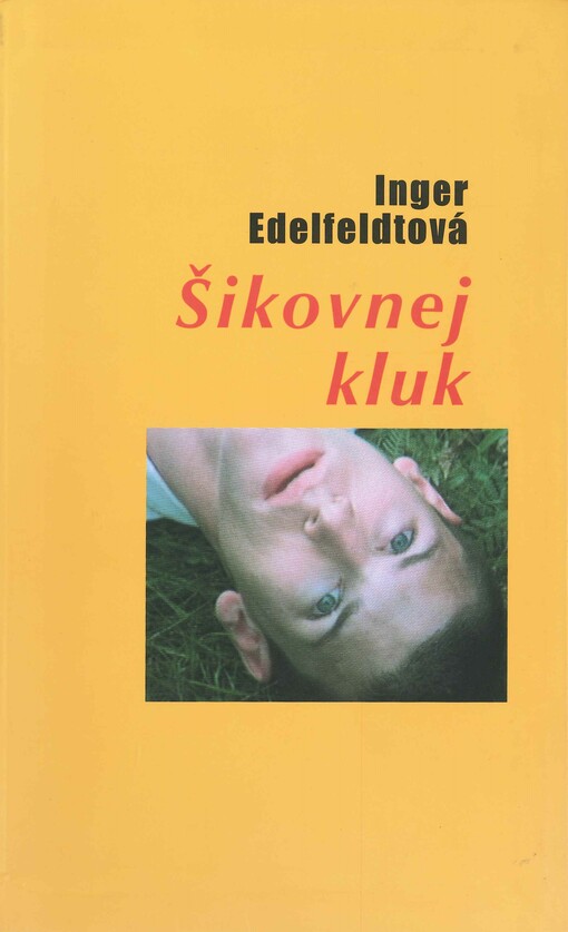 Šikovnej kluk