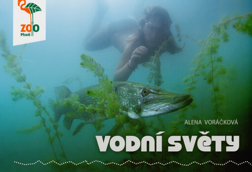 Vodní světy