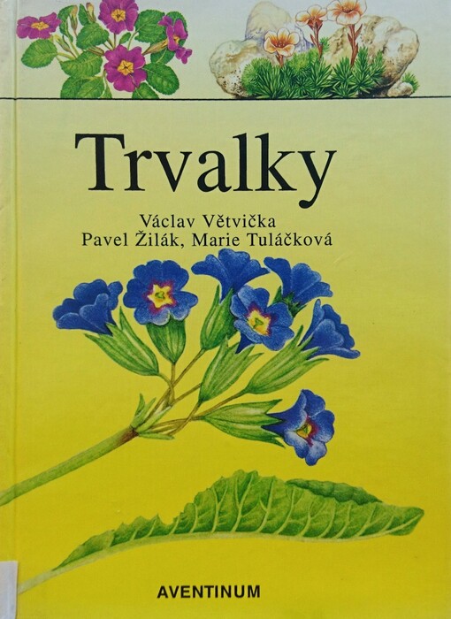 Trvalky