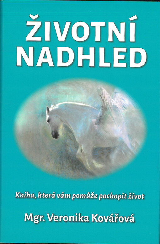 Životní nadhled : kniha, která Vám pomůže pochopit život