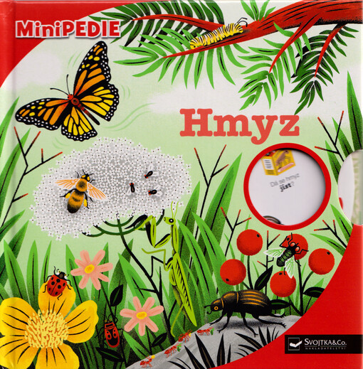 Hmyz