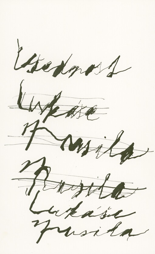 Všednost Lukáše Musila : intervence ve výstavě Všednost : 26.10.2021-31.10.2021, Muzeum umění a designu Benešov