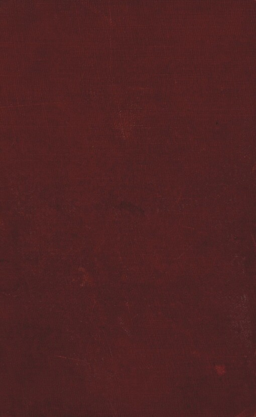 Sňatek na smrtelném loži: román