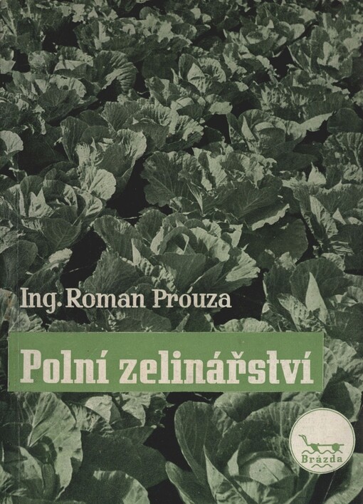 Polní zelinářství