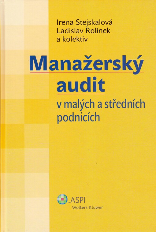Manažerský audit v malých a středních podnicích