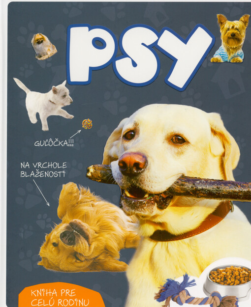 Psy
