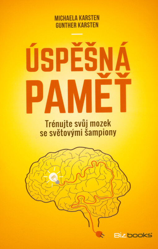 Úspěšná paměť