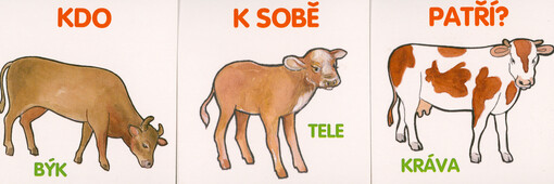 Kdo k sobě patří?