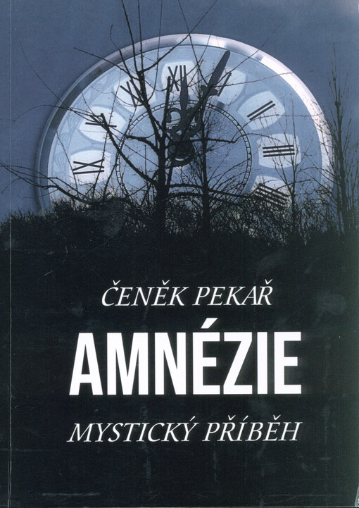 Amnézie : mystický příběh : realita a iluze - dvě různé masky na jedné tváři