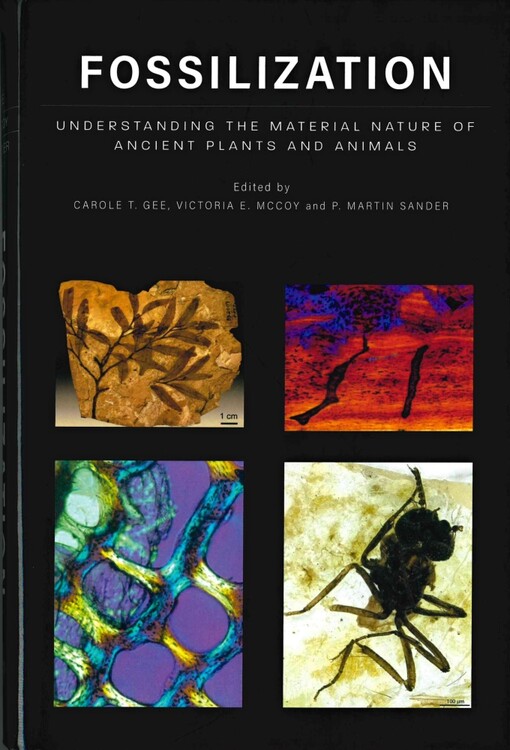 Fossilization : understanding the material nature of ancient plants and animals
