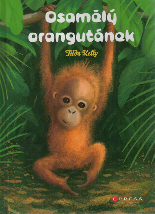 Osamělý orangutánek