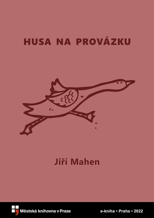 Husa na provázku :šest filmových libret