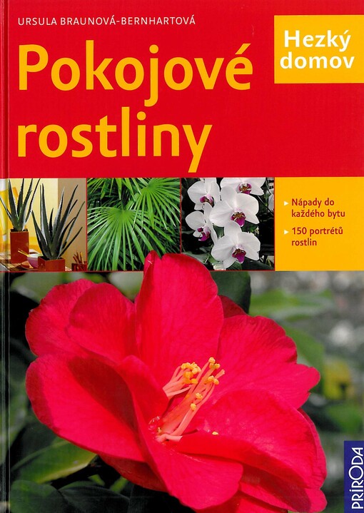 Pokojové rostliny