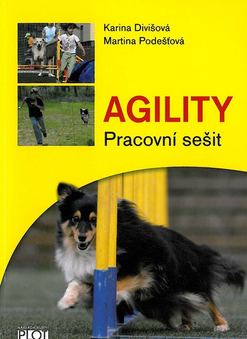 Agility: pracovní sešit