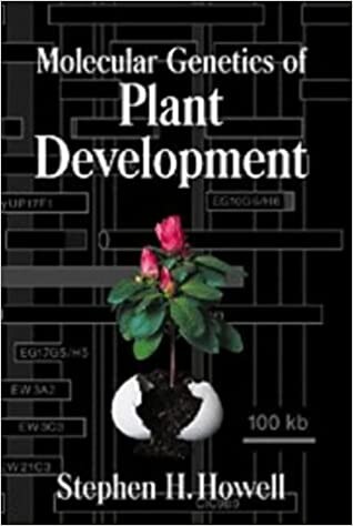 Molecular Genetics of Plant Development