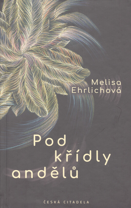 Pod křídly andělů