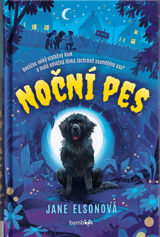 Noční pes