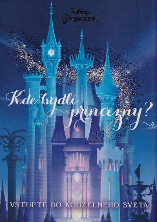 Disney princezna : kde bydlí princezny