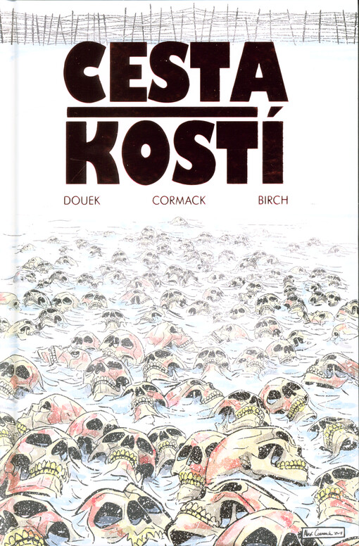 Cesta kostí