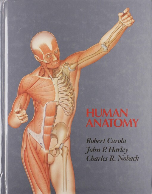 Human anatomy