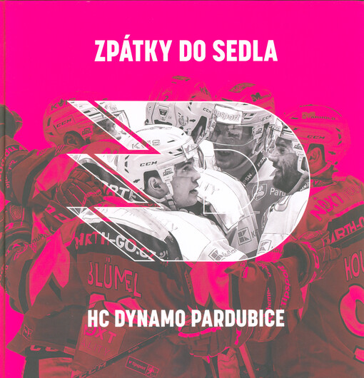 Zpátky do sedla : HC Dynamo Pardubice
