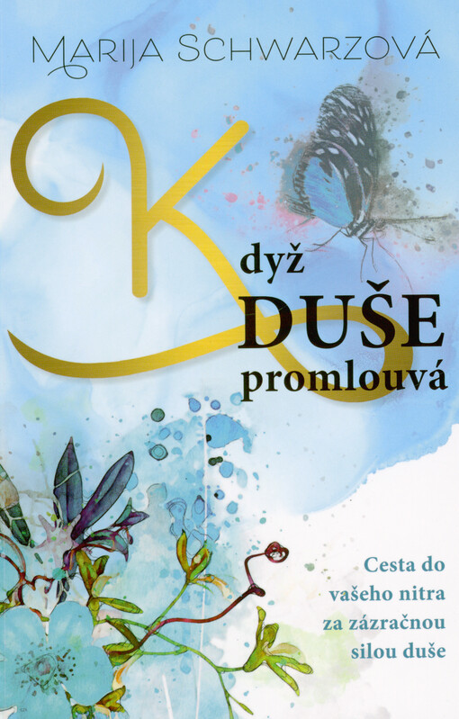 Když duše promlouvá : cesta do vašeho nitra za zázračnou silou duše