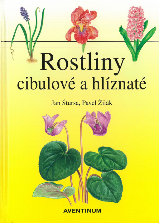 Rostliny cibulové a hlíznaté