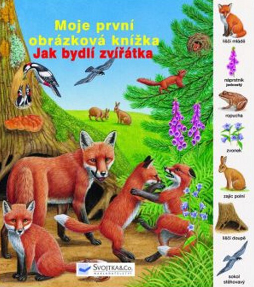 Jak bydlí zvířátka : moje první obrázková knížka