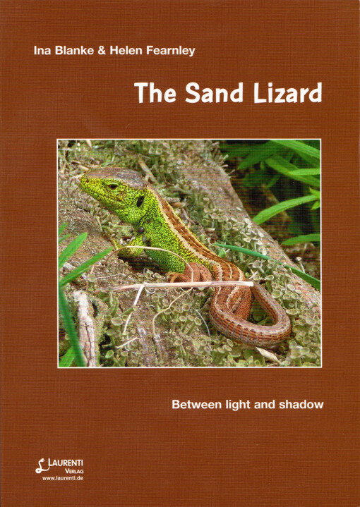 The sand lizard : between light and shadow