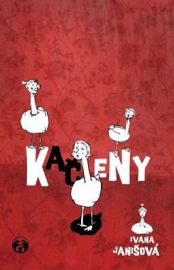 Kačeny: podzim, zima, jaro, léto : knížka pro holky, kterým je asi tak 9-12 a všechny ostatní, Vyd. 1.