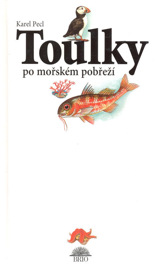 Toulky po mořském pobřeží