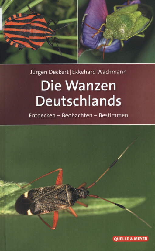 Die Wanzen Deutschlands : entdecken - beobachten - bestimmen